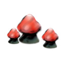 Mushroom 2.jpg